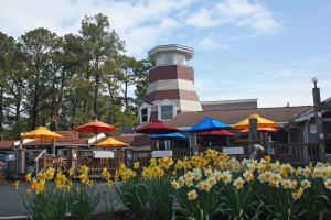 Island Creamery on Chincoteague Island, VA