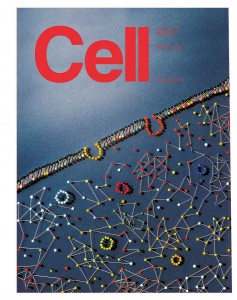 Cell