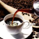 Kopi Luwak 1 1