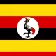 Microfinance Institutions in Uganda