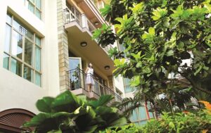 GREEN WELLNESS AT TREETOPS