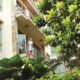 Greenery edit1 1