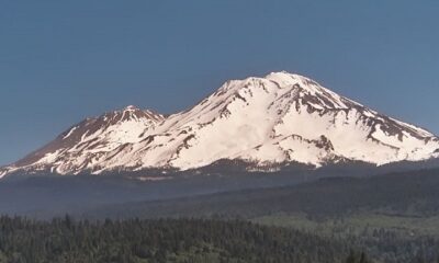 Shasta 1