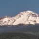 Shasta 1