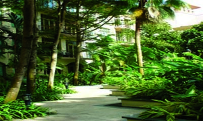 Garden Path 1