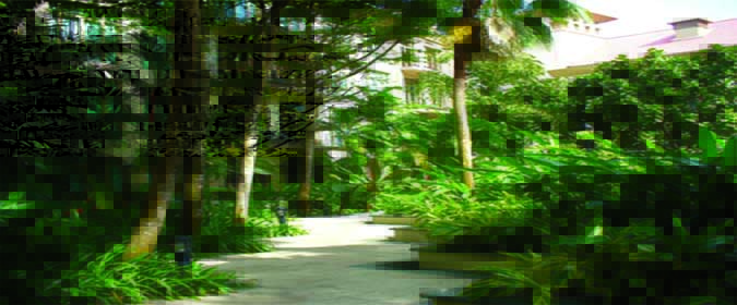 Healthy Living begins right here at Treetops 61 Garden Path 1