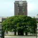 Kyoto University japan 1