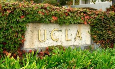 UCLA LOGO 1