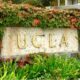 UCLA LOGO 1