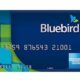blue bird american exxpress 1