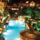 treetops 1 1