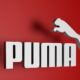 puma1 1