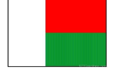 Madagascar flag 1