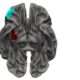 bRAIN 1