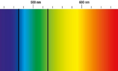 colour 1
