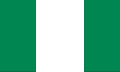 Nigeria flag 1