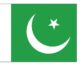 Pakistan Flag 1