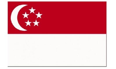 Singapore Flag 1