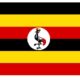 Uganda flag 1