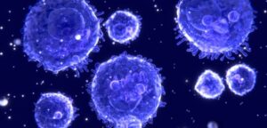 Getting it ‘Just Right’ in the Immune System