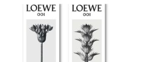 001, the new scent signed Loewe