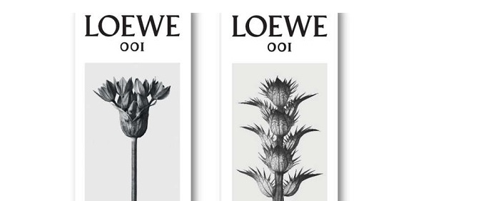 001, the new scent signed Loewe 63 0011 1