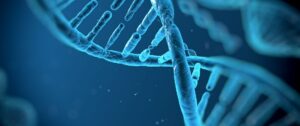 Study Paves the way for New Autoimmune Disease Treatments with fewer side effects