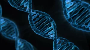 Scientists uncover Genetic Evidence that ‘we are what we eat’