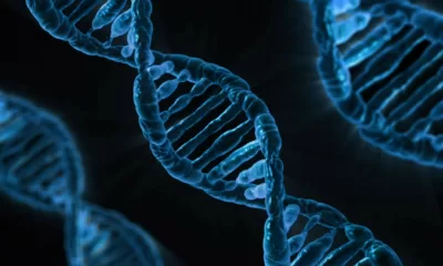 Scientists uncover Genetic Evidence 1 1