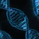 Scientists uncover Genetic Evidence 1 1