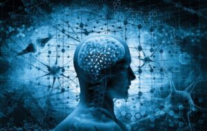 MRI Scans Reveal How Brain Protects Memories