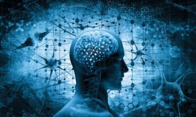 MRI Scans Reveal How Brain Protects Memories