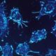 Opportunistic Cancer Cells ‘Slip Through the Gaps