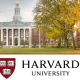 Harvard University