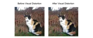 Enhancing Digital Privacy by Hiding Images from AI
