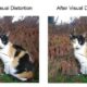 Enhancing Digital Privacy by Hiding Images from AI