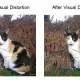 Enhancing Digital Privacy by Hiding Images from AI