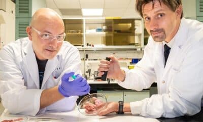 ​NTU Singapore scientists develop “biorubber” glue for faster surgical recovery and pain relief