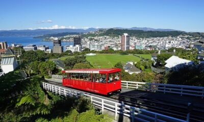 New Zealand's Economy is Weathering the Storm and Set to Bounce Back in 2021