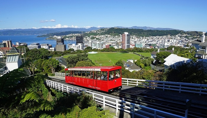 New Zealand's Economy is Weathering the Storm and Set to Bounce Back in 2021