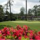 The strangeness of a November Masters