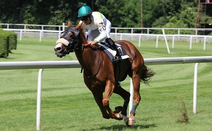 Melbourne Cup Carnival