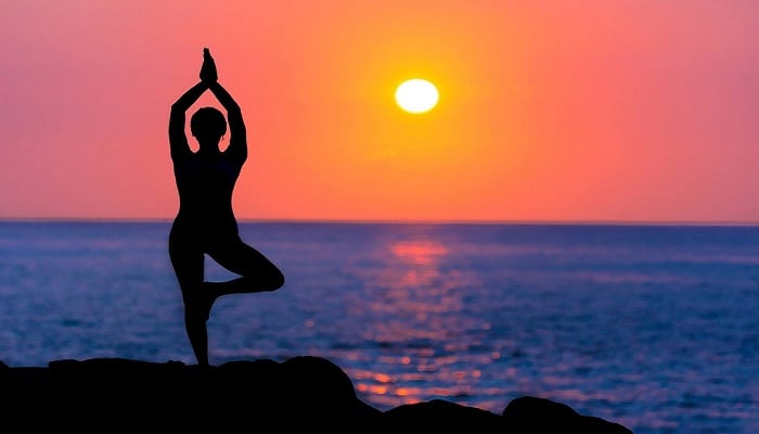 Types of Wellness Coaches to Suit Every Need 61 Types of Wellness Coaches to Suit Every Need
