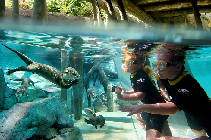 Discovery Cove 