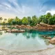 DISCOVERY COVE - CELEBRATING LIFE’S SPECIAL MOMENTS