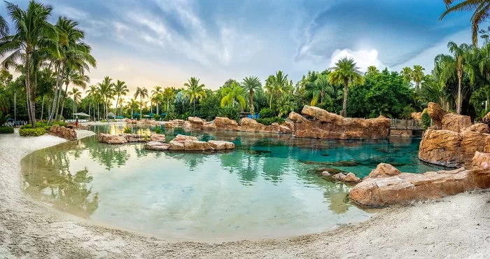 DISCOVERY COVE - CELEBRATING LIFE’S SPECIAL MOMENTS