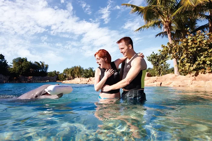 DISCOVERY COVE - CELEBRATING LIFE’S SPECIAL MOMENTS