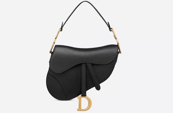 Dior Saddle Bag