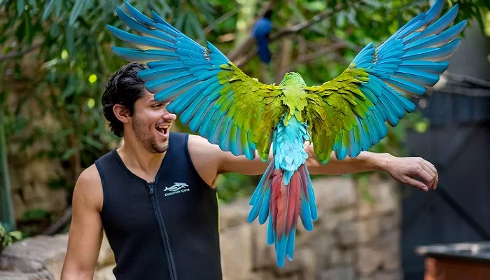 Winging It At Discovery Cove