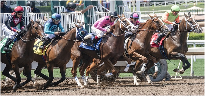 5 Grandest Annual Horse Racing Shows At Del Mar Racecourse